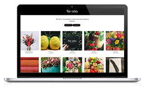 Flor Artes heeft zijn website laten bouwen in Antwerpen