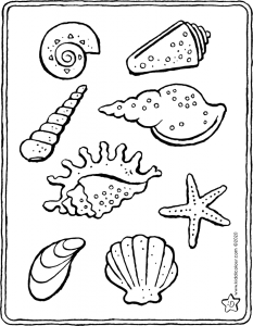 shells-colouring-page-drawing-picture-01V-794x1024