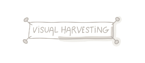 Visual Harvesting logo grijs