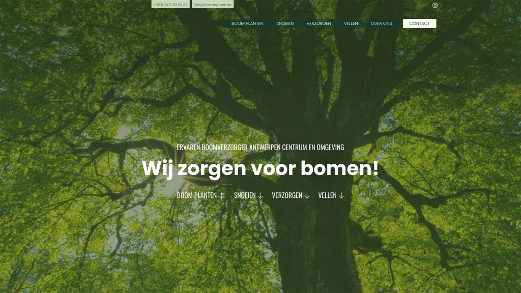 zeevangroen.be - Website bouwen met een strak budget - Motionmill webdesign Antwerpen